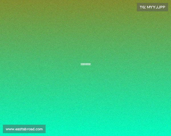 篮球赛系列报道