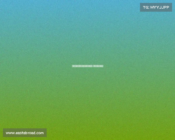 老年体育协会—老年体协赛事盛 银龄活力齐绽放